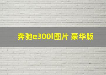 奔驰e300l图片 豪华版